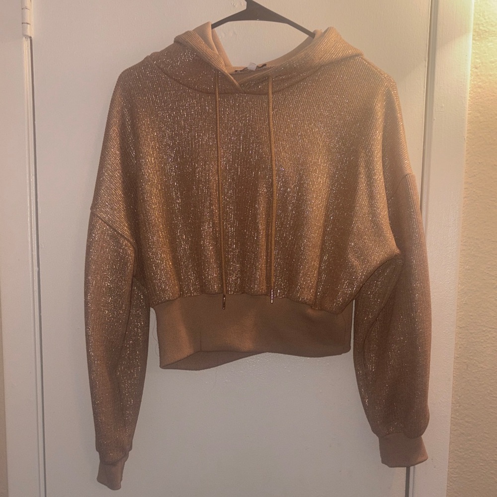 Fashion Nova Glittering Brown Hoodie